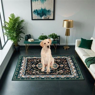 Greitai džiūstantys šuniukų pagalvėlės