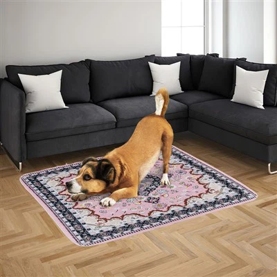 Mašinos plaunamos šuniukai